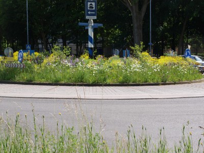 Vlinderrotonde - Bloemenmengsel